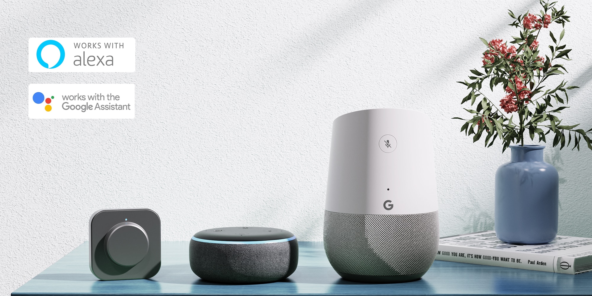 Alexa and google home